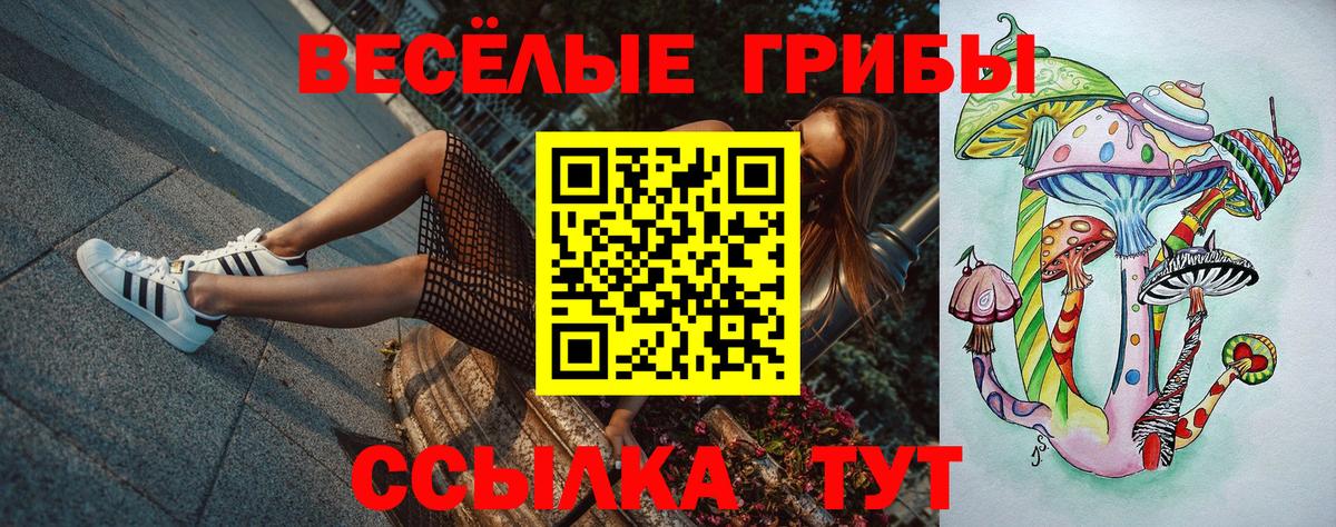 Псилоцибиновые грибы Magic Shrooms Холмск