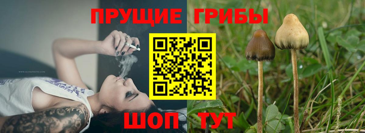 Псилоцибиновые грибы Cubensis  Вход с VPN  Холмск 